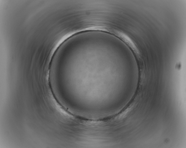 X0000091951284200709061233