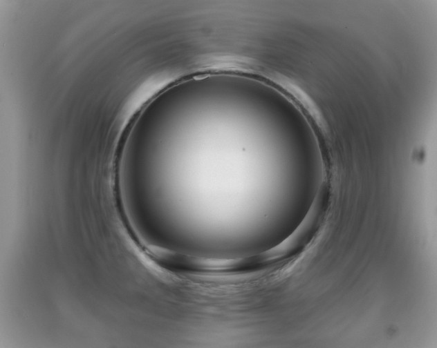 X0000091951285200709061233