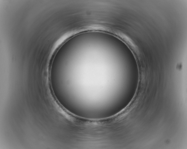 X0000091951286200709061233