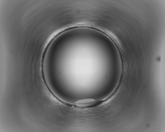 X0000091951288200709061233