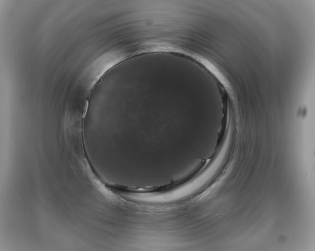 X0000091951289200709061233