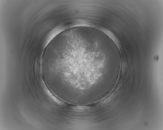 X0000091951290200709061233