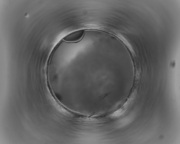 X0000091951291200709061232