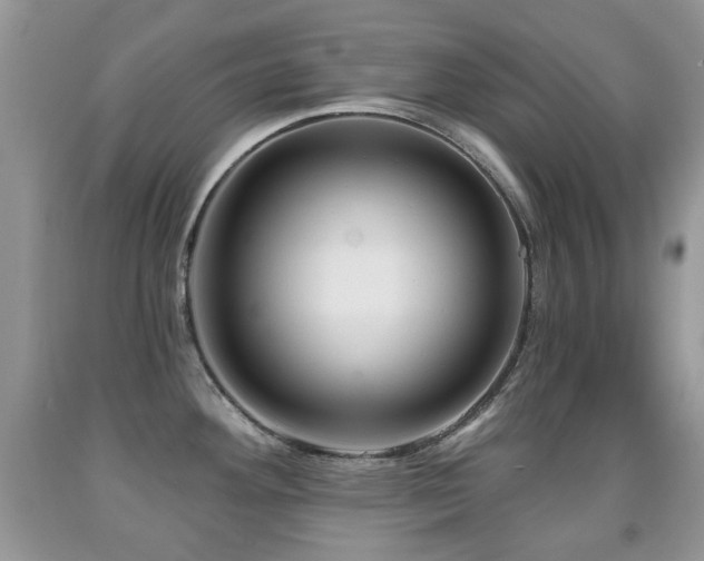 X0000091951292200709061232