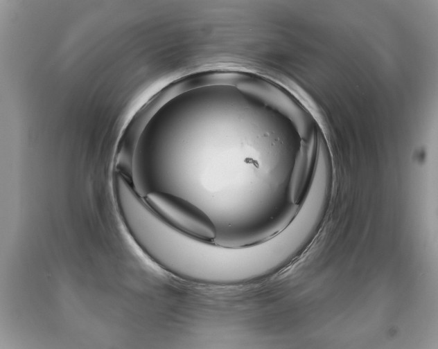 X0000091951293200709061232