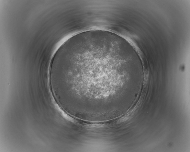 X0000091951294200709061232
