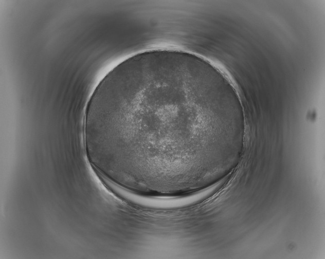 X0000091951295200709061232