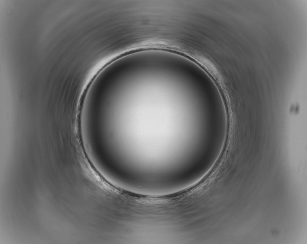 X0000091951296200709061232
