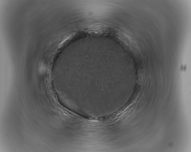 X0000091951297200709061232