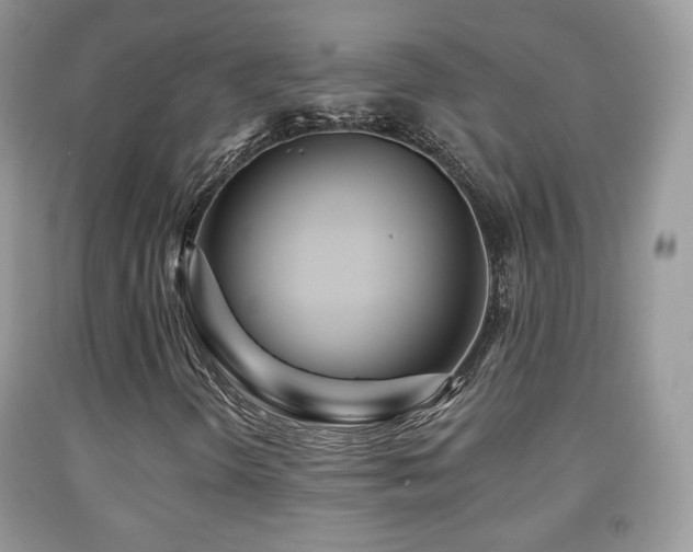 X0000091951298200709061232