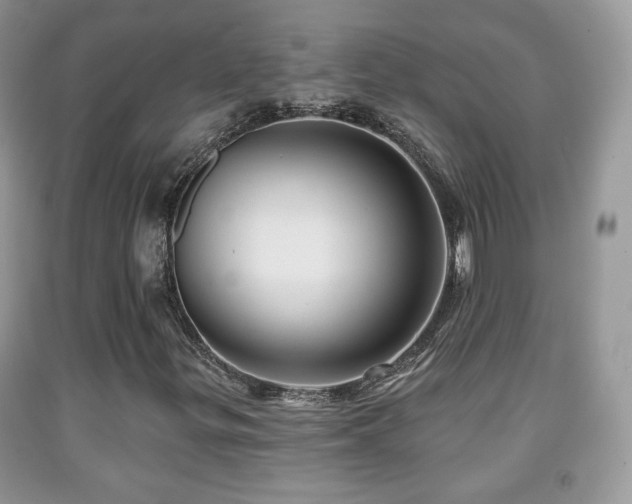 X0000091951299200709061232