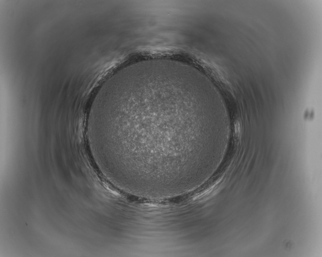 X0000091951300200709061232