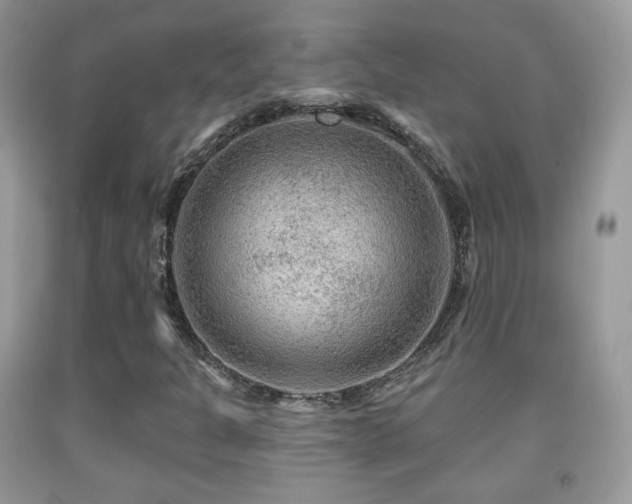 X0000091951301200709061232