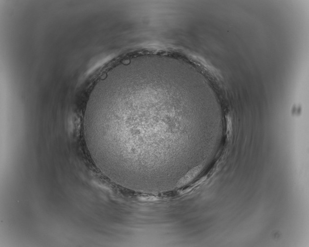 X0000091951302200709061232