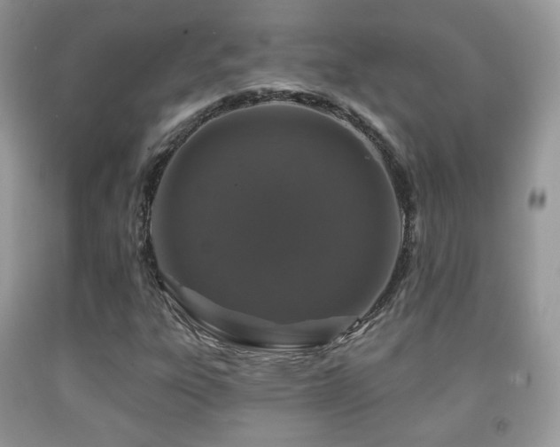 X0000091951303200709061232