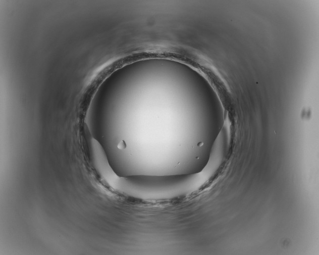 X0000091951304200709061232