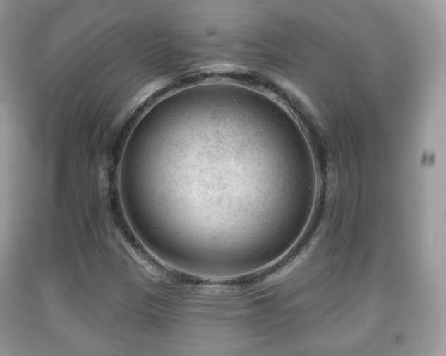 X0000091951305200709061232