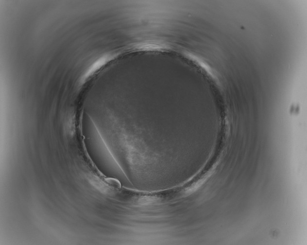 X0000091951306200709061232