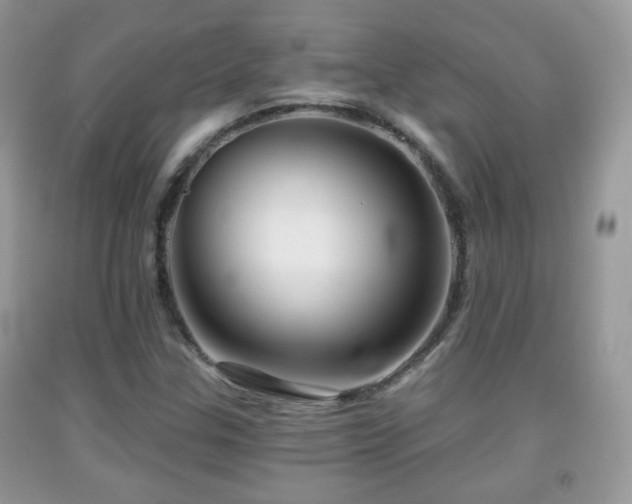 X0000091951307200709061232