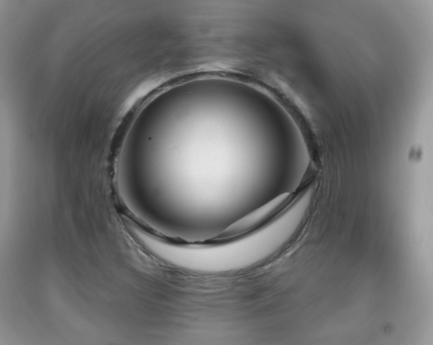 X0000091951308200709061232