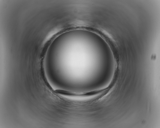 X0000091951309200709061232
