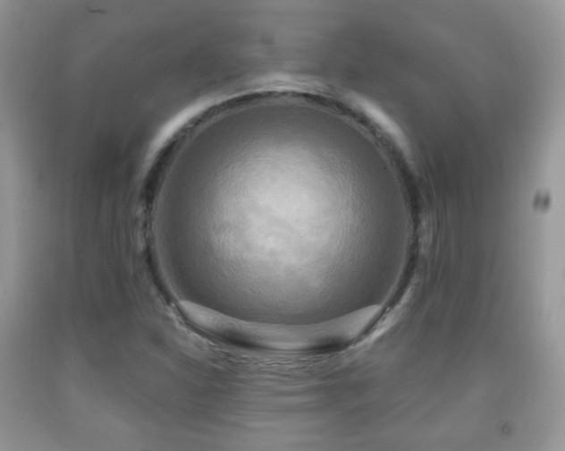 X0000091951310200709061232