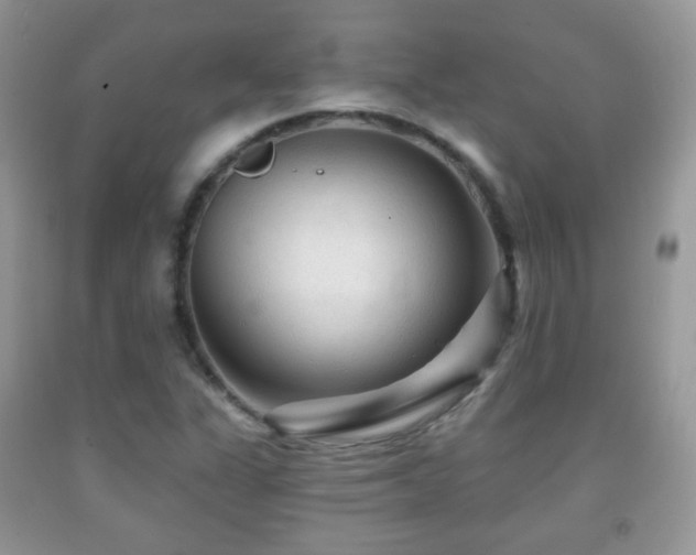 X0000091951311200709061232