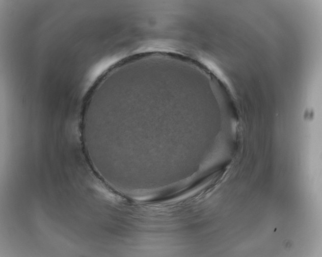 X0000091951312200709061232