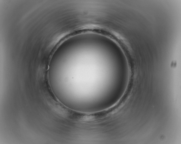 X0000091951313200709061232