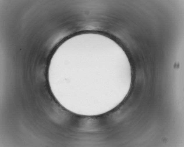 X0000091951314200709061232