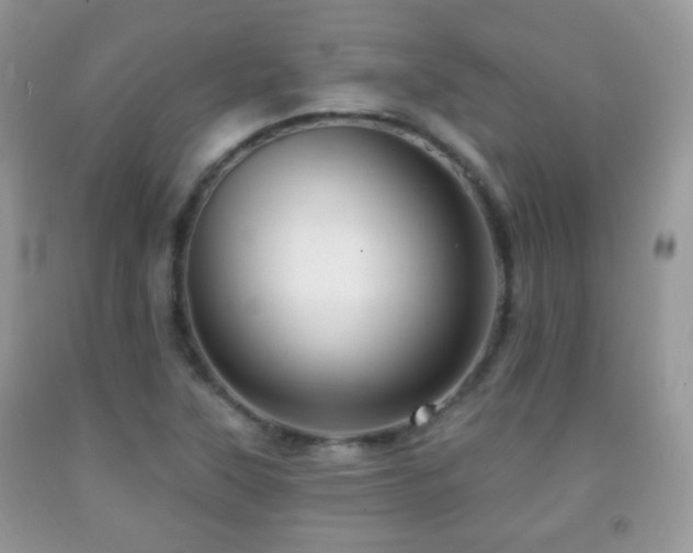 X0000091951315200709061232