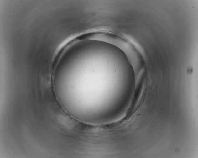 X0000091951316200709061232
