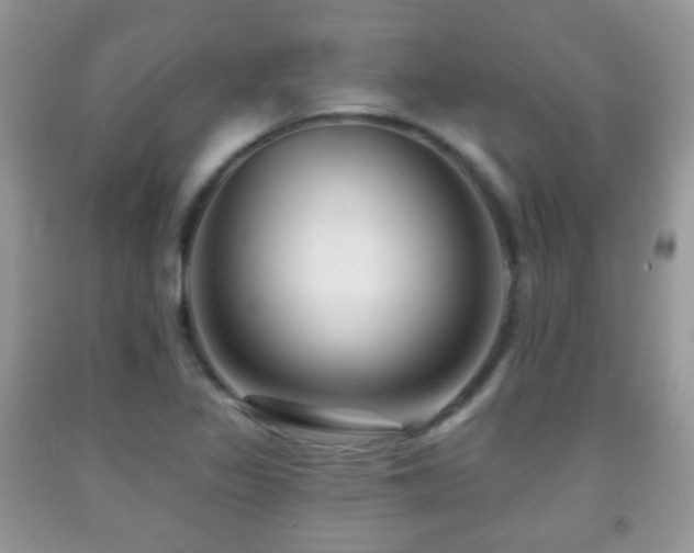 X0000091951317200709061232