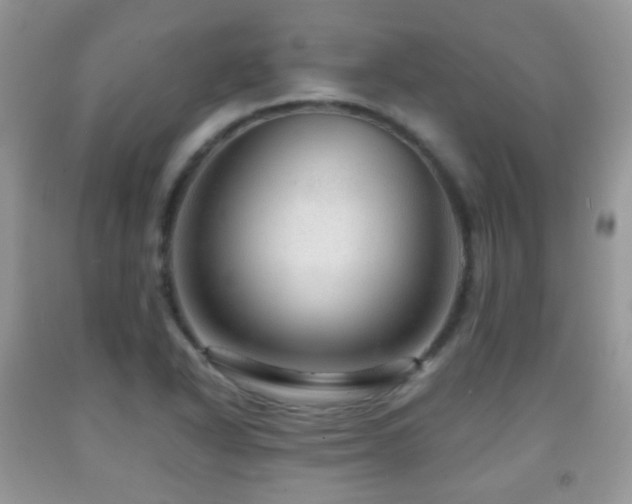 X0000091951318200709061232