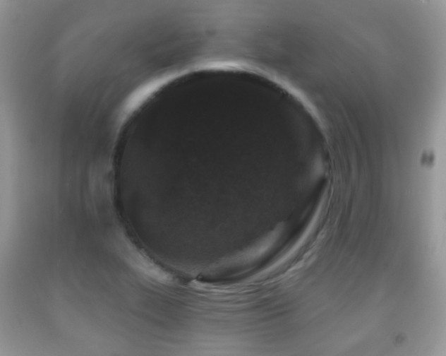 X0000091951319200709061232