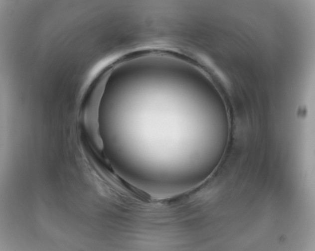 X0000091951320200709061232