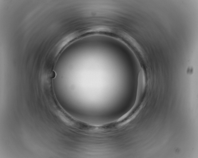 X0000091951321200709061232