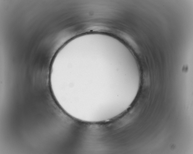 X0000091951322200709061232