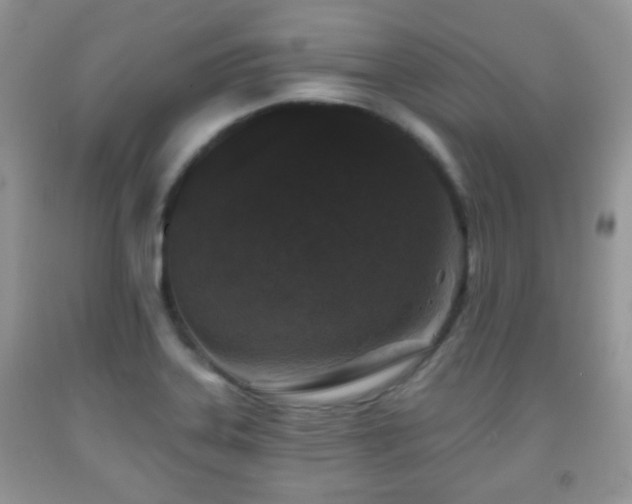 X0000091951323200709061232