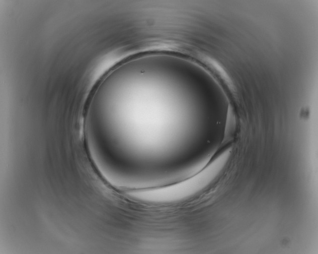 X0000091951324200709061232
