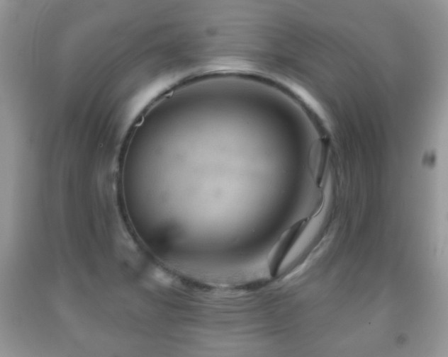 X0000091951325200709061232