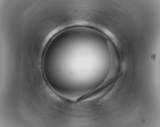 X0000091951326200709061232
