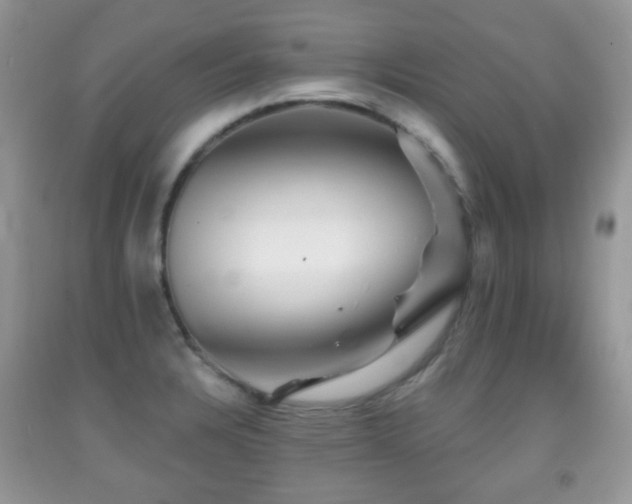 X0000091951328200709061232
