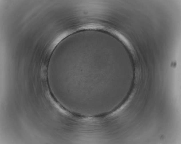 X0000091951329200709061232