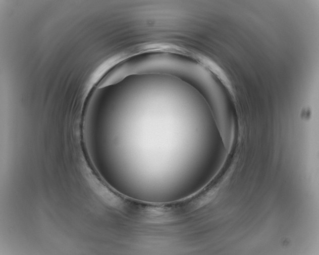 X0000091951330200709061232