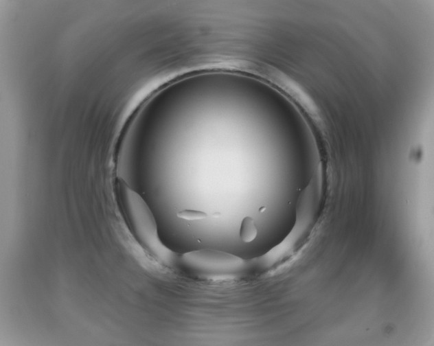 X0000091951332200709061232