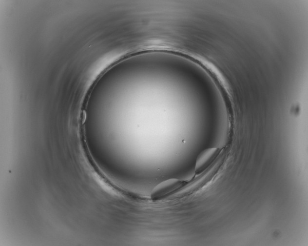 X0000091951333200709061232