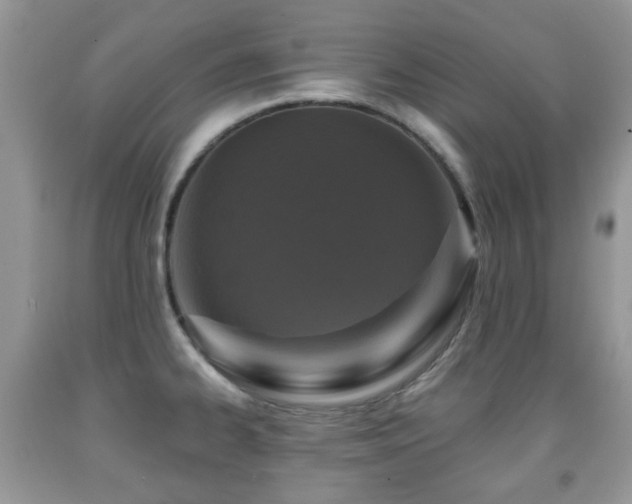 X0000091951334200709061232