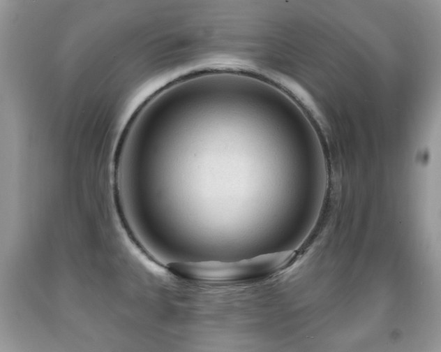 X0000091951335200709061232