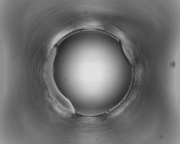 X0000091951336200709061232